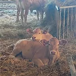 Сasa de vacaciones Chez Louise Et Quentin - A La Ferme